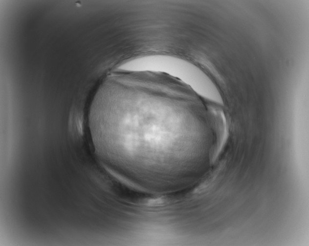 X0000088860068200707061058