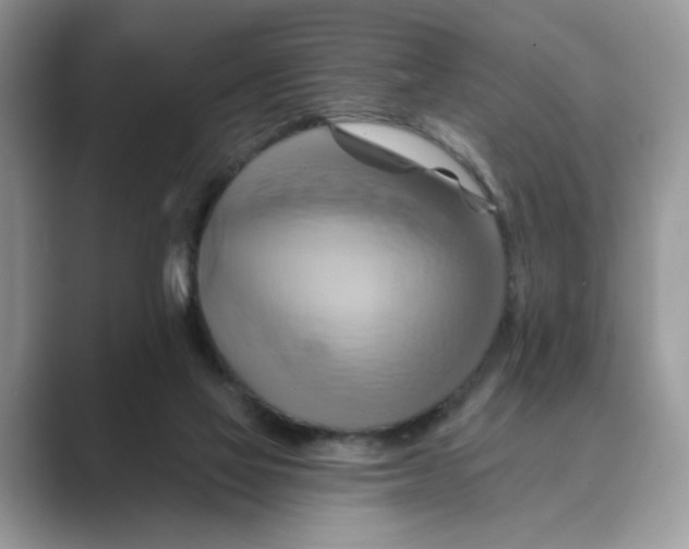 X0000088860069200707061058