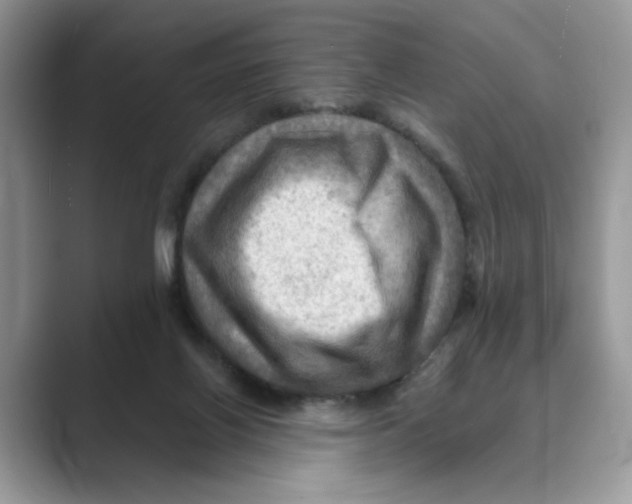 X0000088860070200707061058