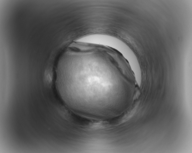 X0000088860072200707061058