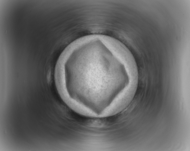 X0000088860074200707061058