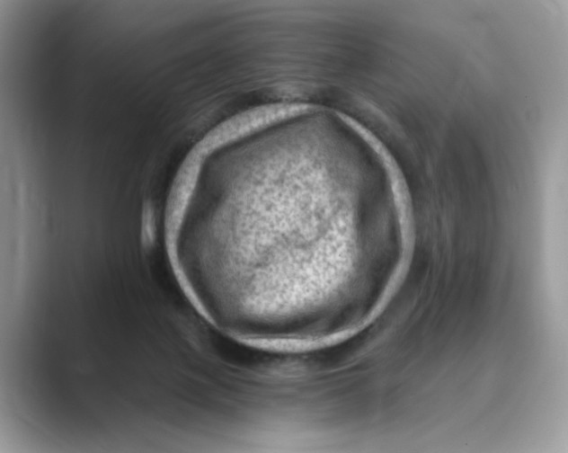 X0000088860075200707061058