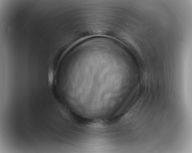 X0000088860076200707061058