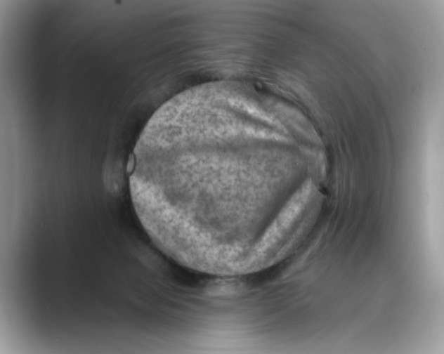 X0000088860077200707061058