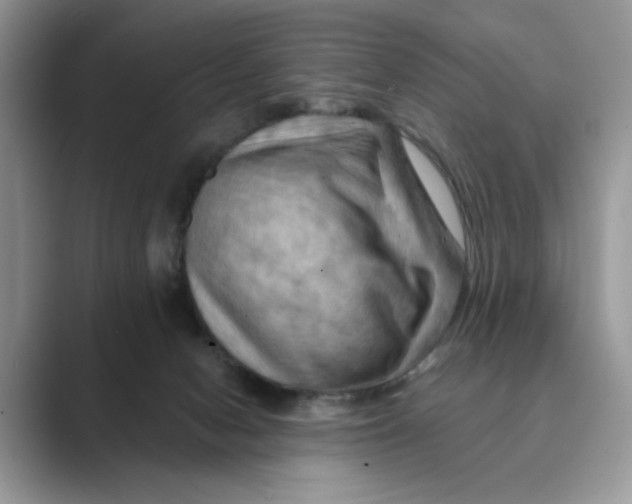 X0000088860078200707061058