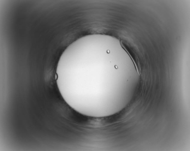 X0000088860079200707061058