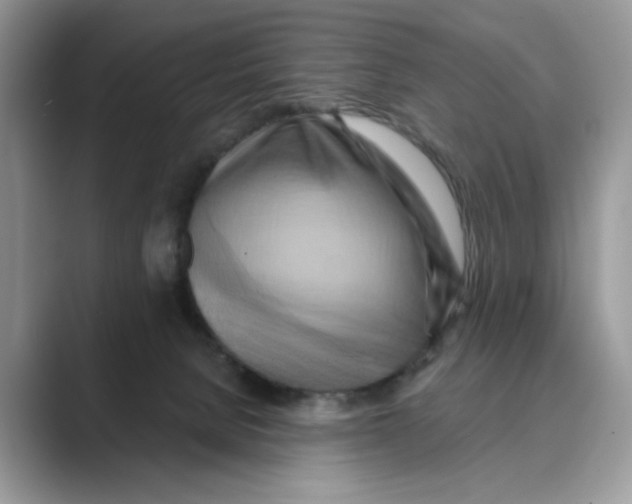 X0000088860080200707061058