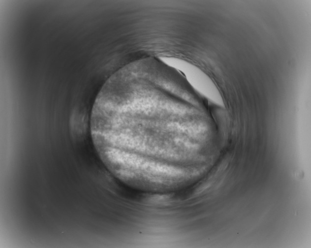 X0000088860081200707061058