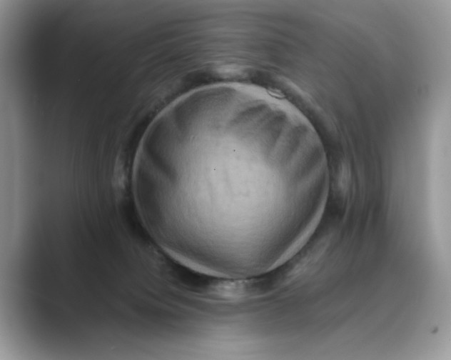 X0000088860084200707061058
