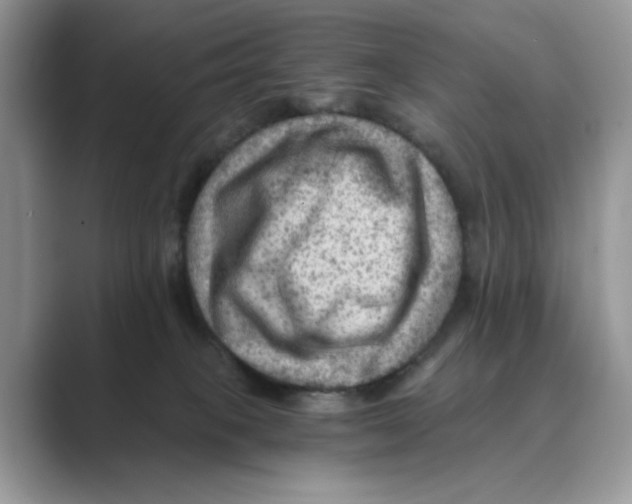 X0000088860085200707061059