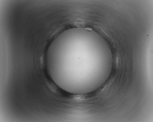 X0000088860088200707061059