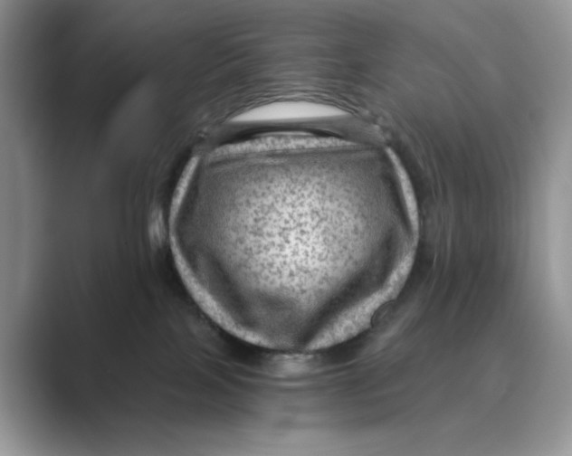 X0000088860089200707061059