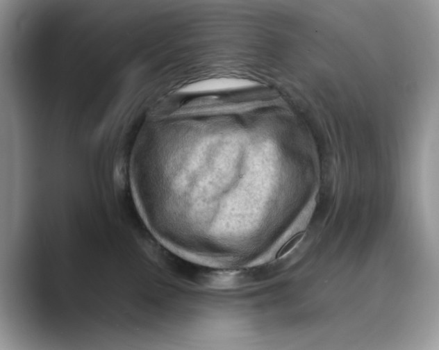 X0000088860090200707061059