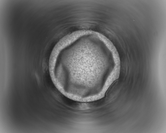 X0000088860091200707061059