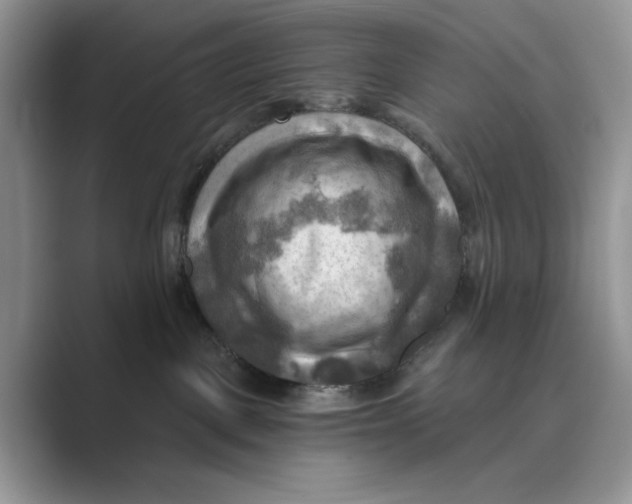 X0000088860093200707061059