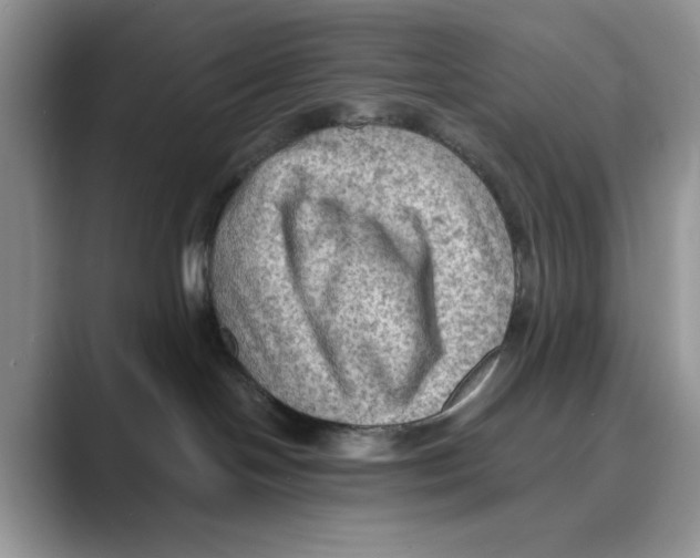 X0000088860094200707061059