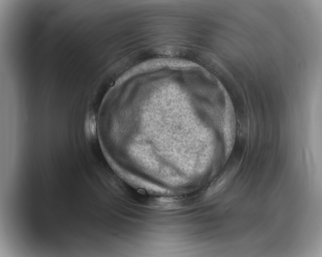 X0000088860095200707061059