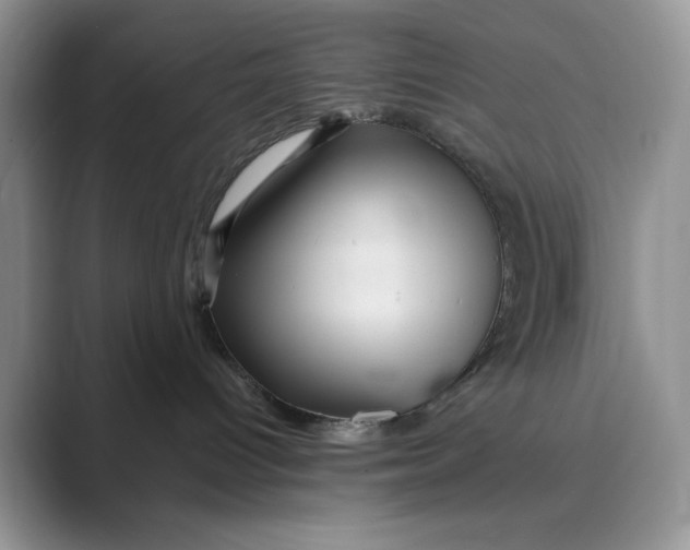 X0000088860096200707061059