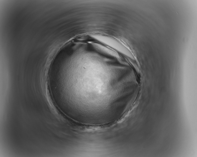 X0000088860097200707061058