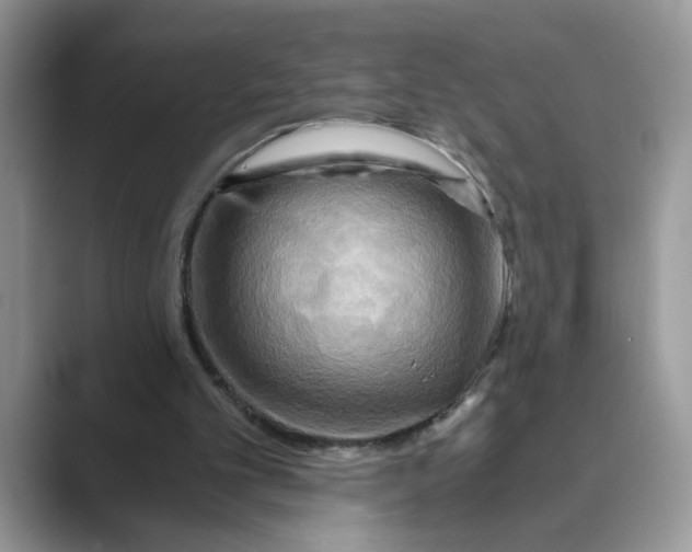 X0000088860101200707061058