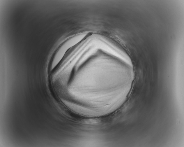 X0000088860102200707061058