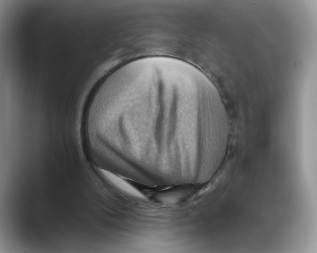 X0000088860104200707061058