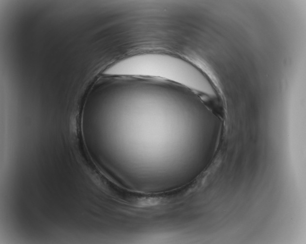 X0000088860105200707061058