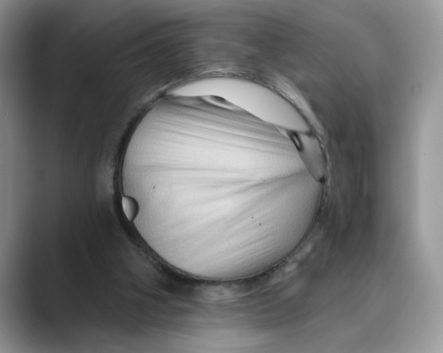 X0000088860106200707061058
