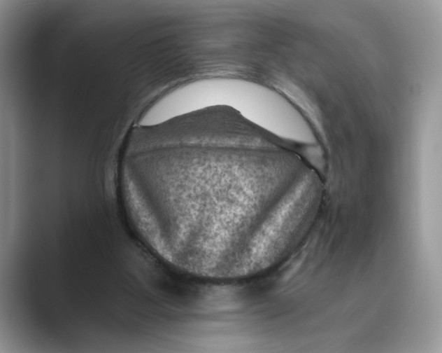 X0000088860107200707061058