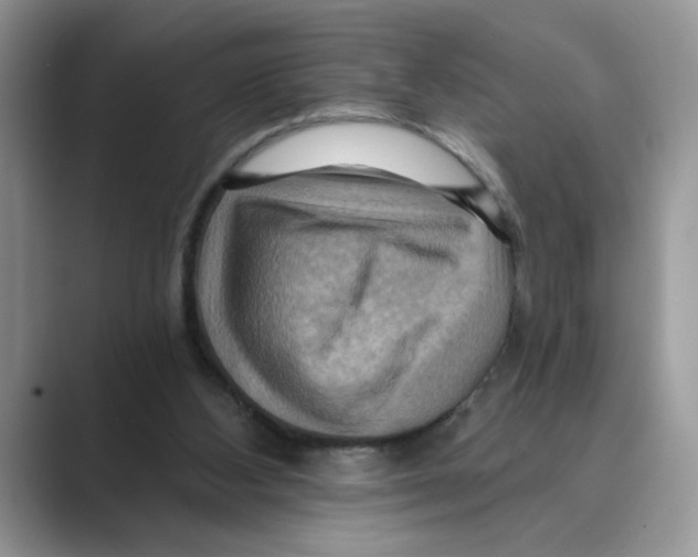 X0000088860108200707061058