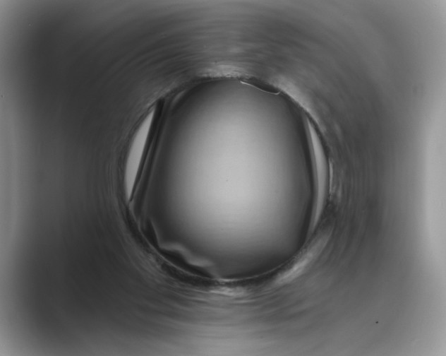 X0000088860109200707061058