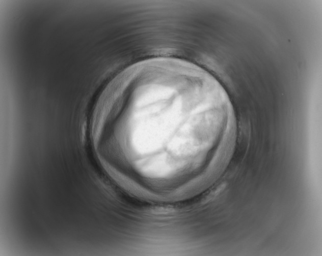 X0000088860110200707061058