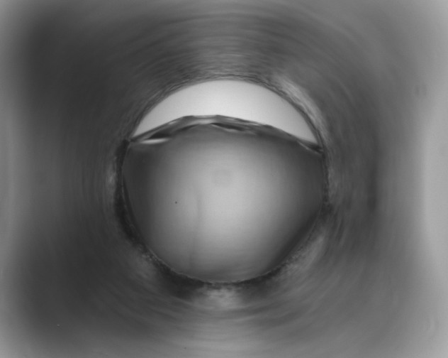 X0000088860113200707061058