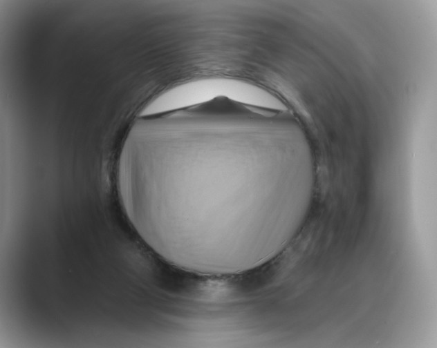 X0000088860114200707061058