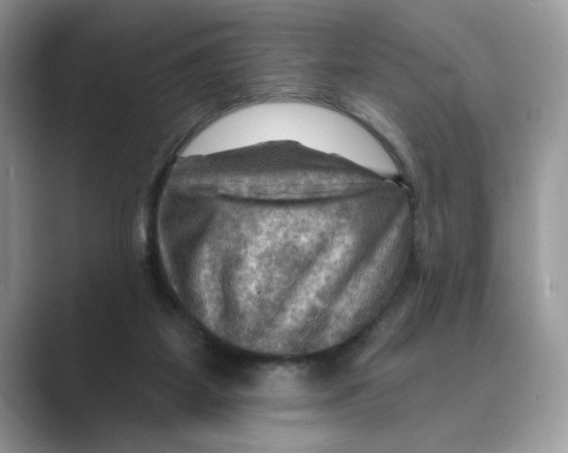 X0000088860115200707061058