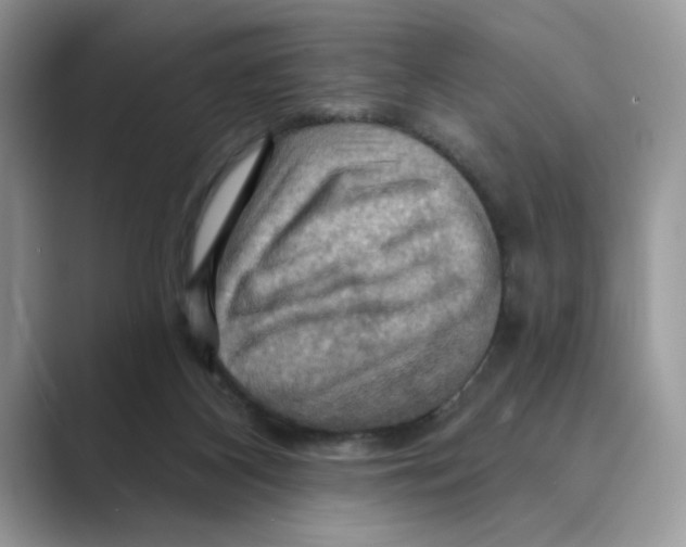 X0000088860116200707061058