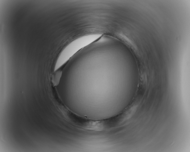 X0000088860117200707061058