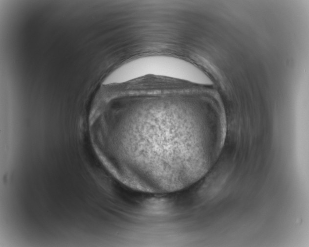 X0000088860119200707061058