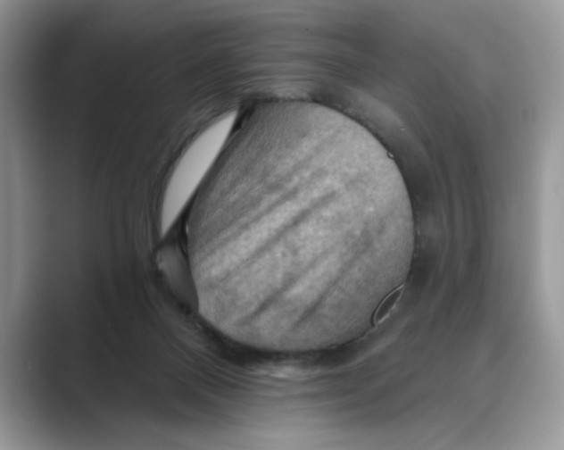 X0000088860120200707061058