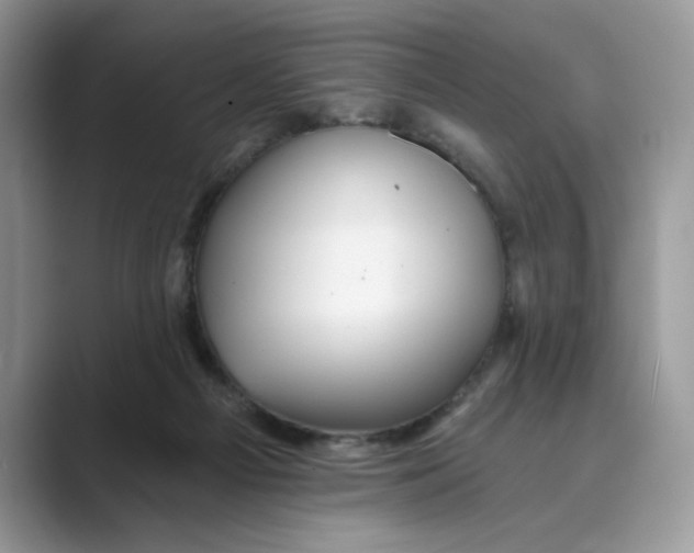 X0000088860121200707061058