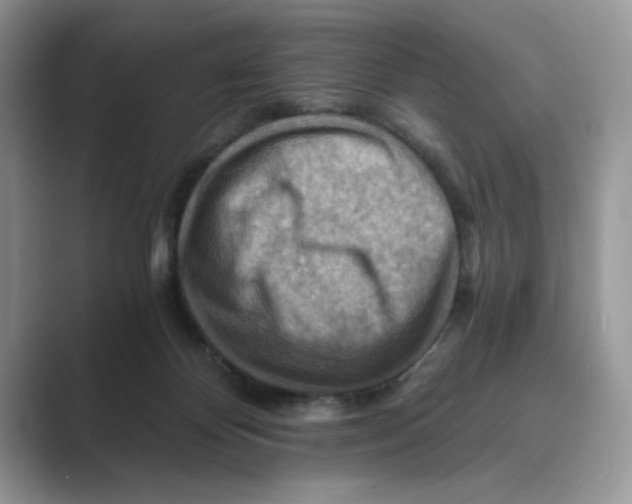 X0000088860124200707061058