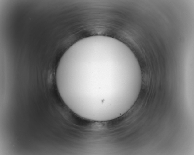 X0000088860126200707061058