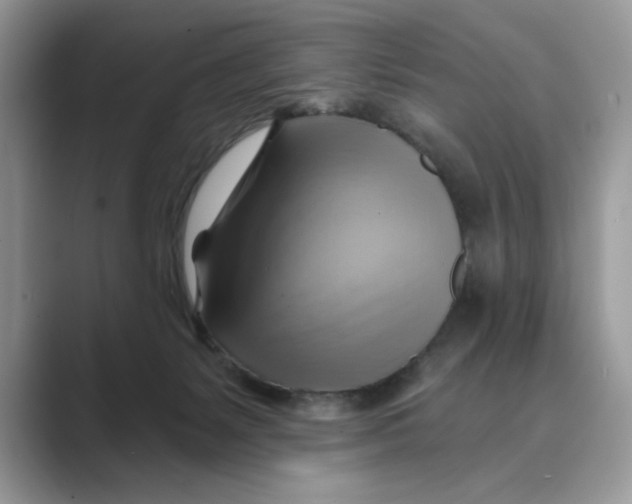 X0000088860127200707061058
