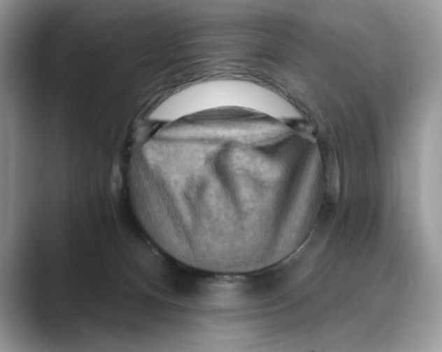 X0000088860128200707061058