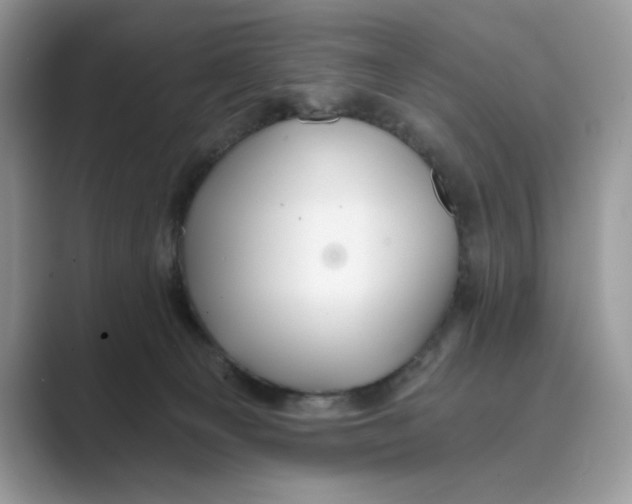 X0000088860129200707061058