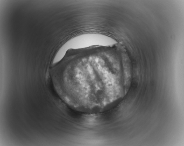 X0000088860131200707061058