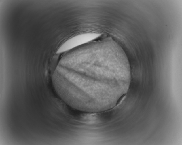 X0000088860132200707061058