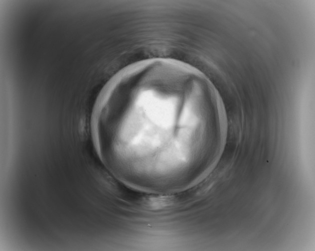 X0000088860134200707061058