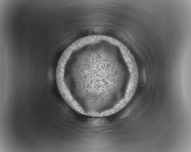 X0000088860135200707061058