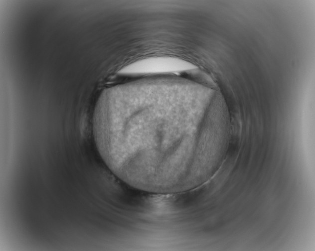 X0000088860136200707061058